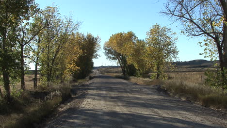 Wyoming-lonely-road-and-trees